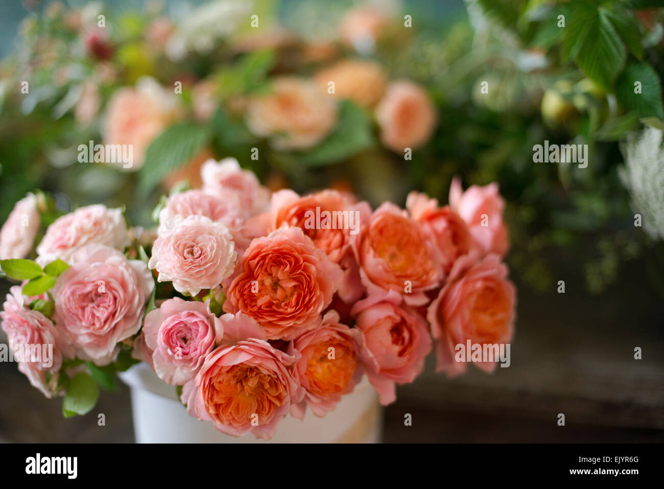 Rosa-Karamel-Antike und Romantik Antike Stockfoto