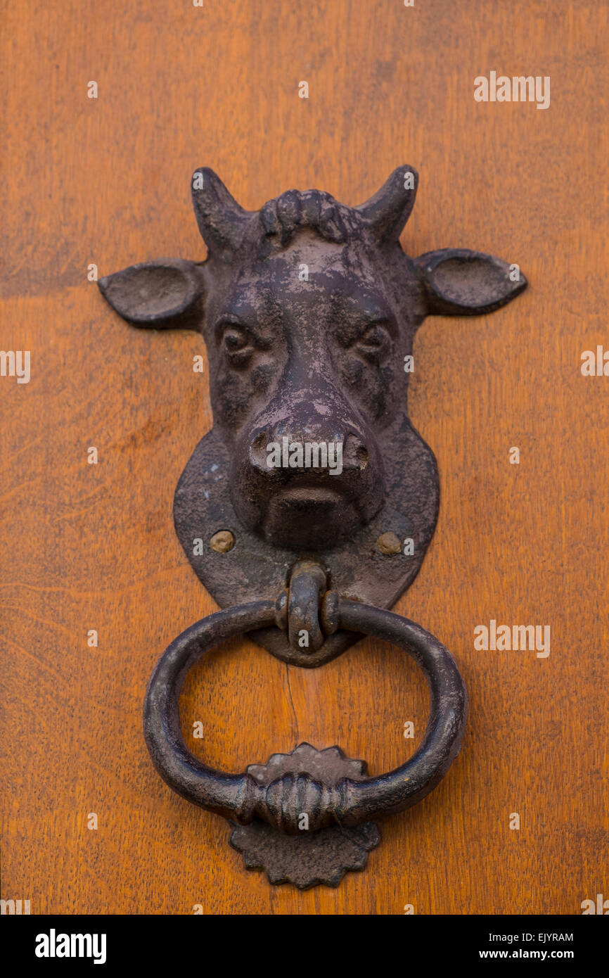 Bull-Türklopfer Stockfoto