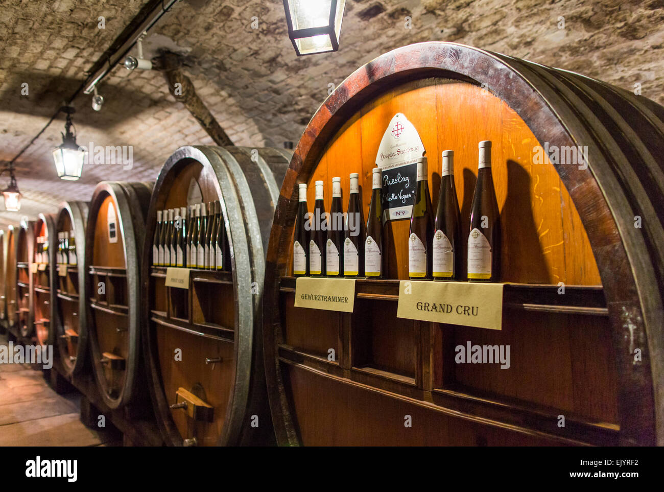 Fässer Wein von alten im Keller des alten Krankenhauses, Straßburg, Frankreich Stockfoto