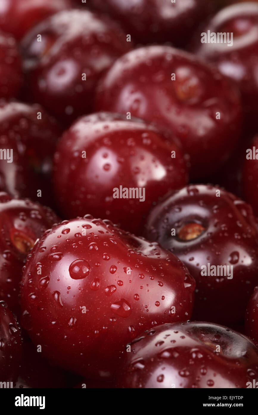 Reife gewaschenen Kirschen schließen sich Bio-Lebensmittel Stockfoto