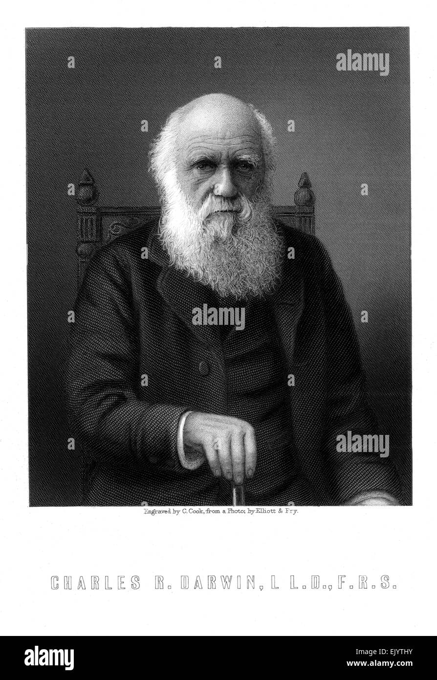 gravierte Portrait Illustration von Charles Darwin (1809-1882) ca. 1875. Er war ein englischer Naturforscher und Geologe, am besten bekannt für seine Beiträge zur Evolutionstheorie. Stockfoto