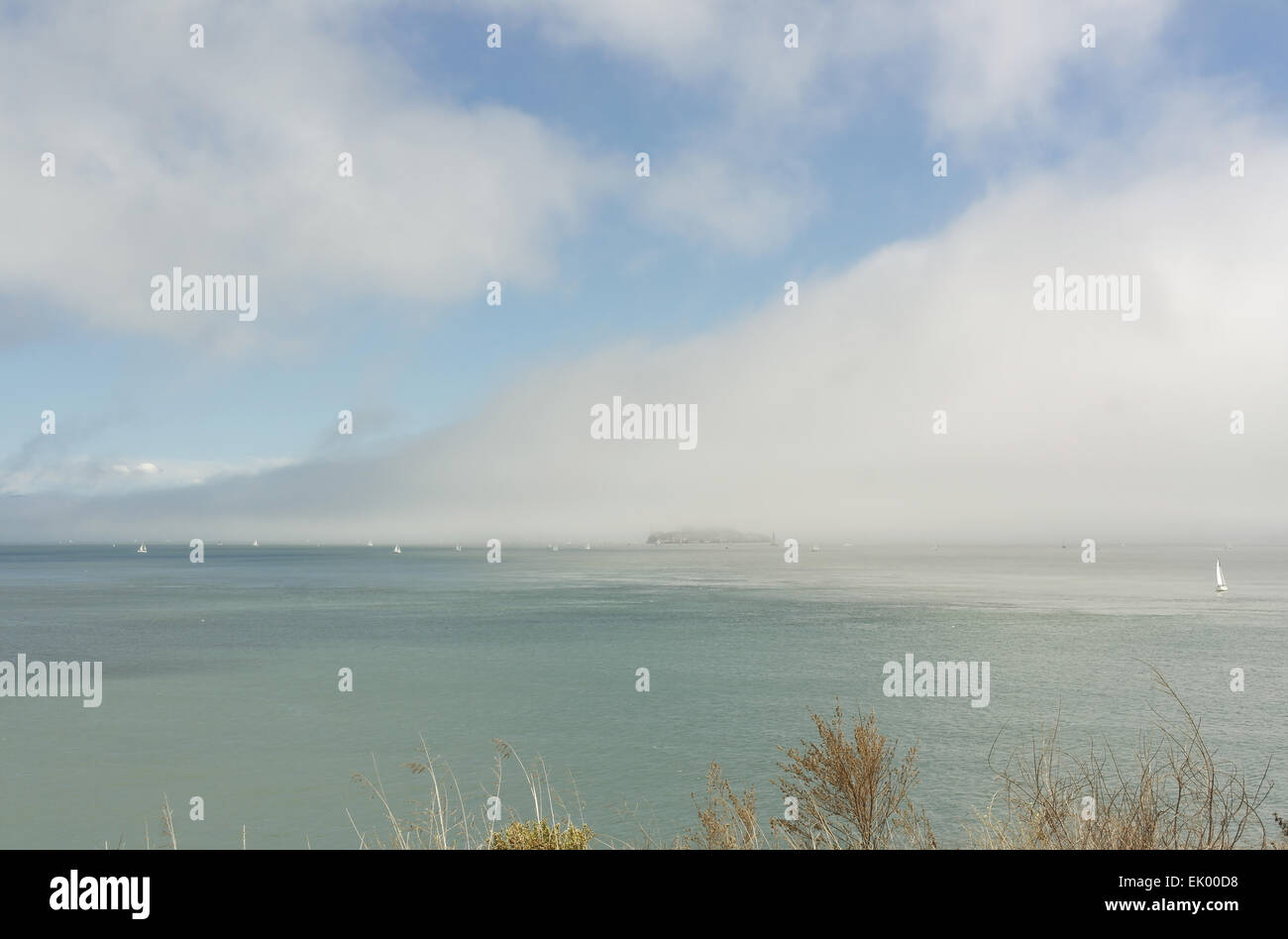 Sonnigen blauen Himmelsblick vom Akku Yates über San Francisco Bucht in Alcatraz Insel eingehüllt große weiße Advektion Nebel cloud Stockfoto