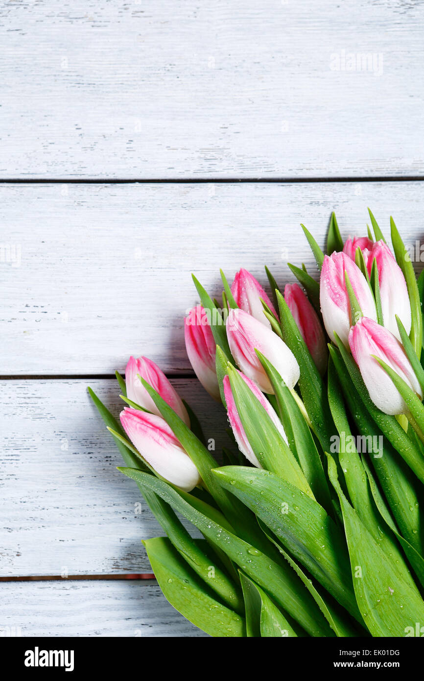 Strauß Frühlingsblumen auf Whiteboards, Blumen Stockfoto