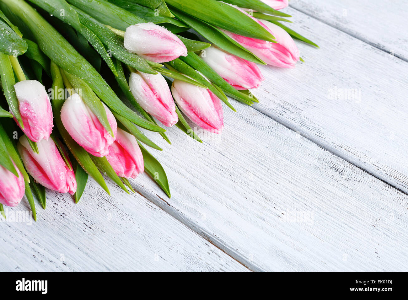Strauß Tulpen Frühling auf Brettern, Blumen Stockfoto