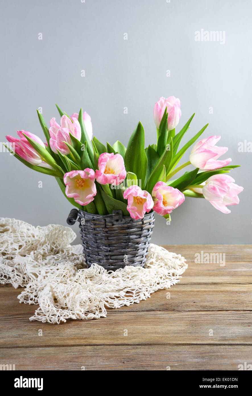 frische Frühlingsluft Tulpen im Eimer Stockfoto