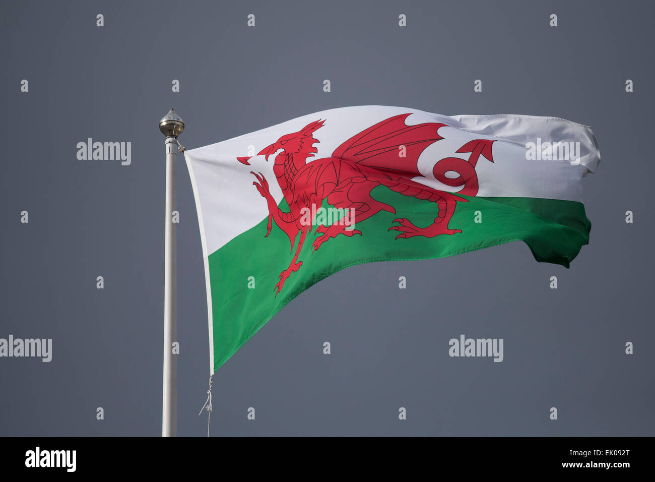 A Welsh Flagge vor einem dunklen, launisch Himmel in Cardiff, Wales. Stockfoto