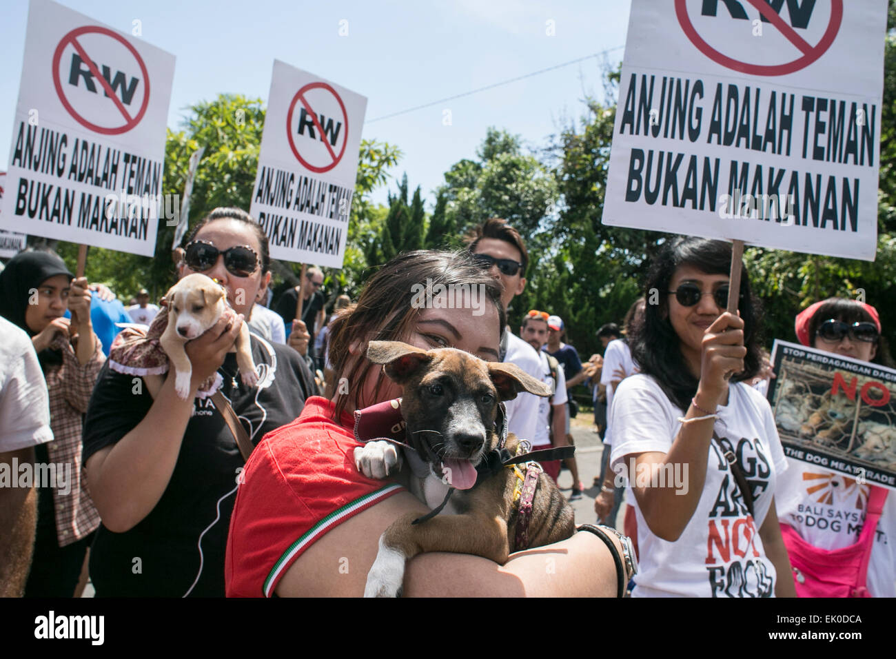 Bali, Indonesien. 4. April 2015. Tierfreunde trägt ihr Hund während mehrere Aktivisten hinter halten Plakat "Hunde sind Freunde nicht essen" zu sagen, während globale März gegen Hundefleisch in Denpasar, Bali, Indonesien. Die Proteste statt fordert die Regierungen der Bali zur Hund Fleischhandels für den Verbrauch, die lokal bekannt als "RW" oder Lebensmittel, die aus Hundefleisch. Bildnachweis: Johannes Christo/Alamy Live-Nachrichten Stockfoto