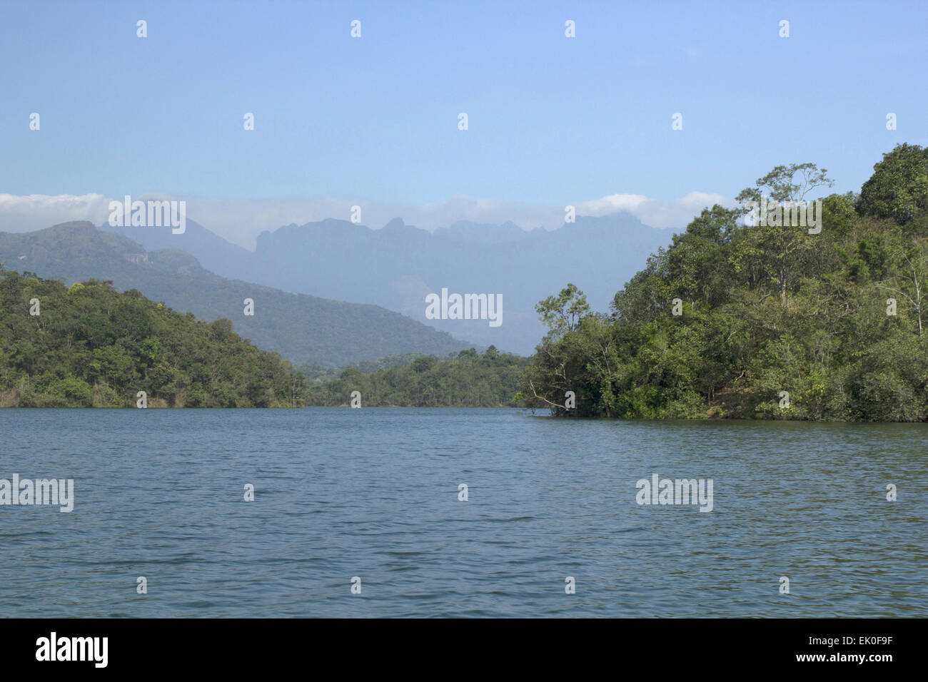 Neyyar Wildlife Sanctuary, Kerala. Die Neyyar Wildlife Sanctuary im südlichen Bundesstaat Kerala. Indien Stockfoto