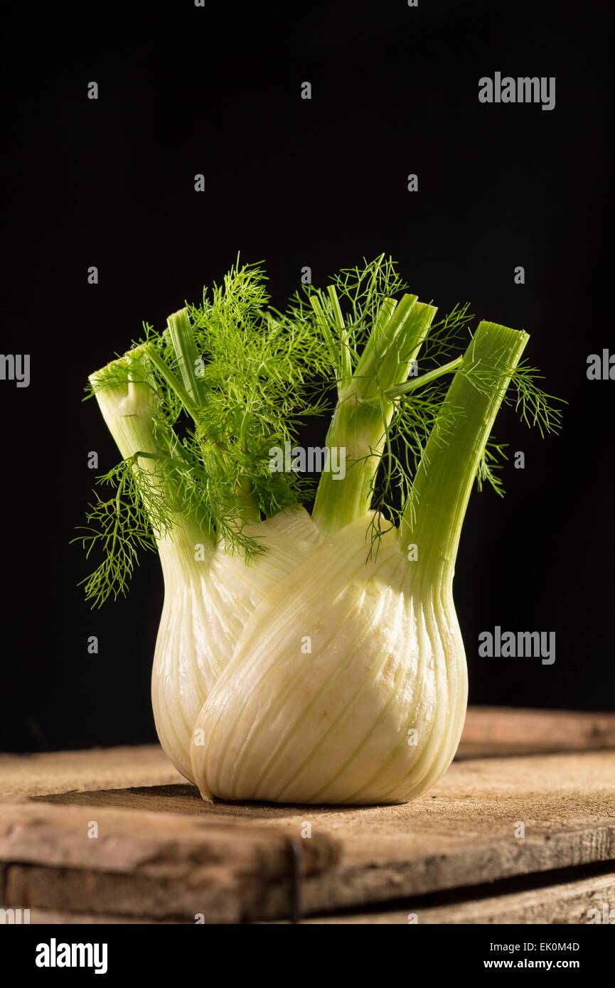 Niemand, niemand, niemand, gesundes Essen, frisch, Lebensmittel, Essen und trinken, roh, Stillleben, Studioaufnahme, Studioaufnahmen, Fenchel, Gemüse Stockfoto