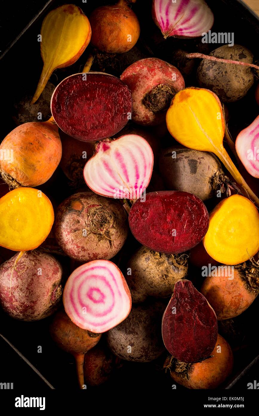 Niemand, niemand, niemand, gesundes Essen, frisch, Lebensmittel, Essen und Getränke, Produkte, Gemüse, erhöhte Ansicht, hohen Winkel, roh, große Gruppe von Objekten, rote Beete, Vielfalt, Variation, abwechslungsreich, rote Zwiebeln, Zwiebeln, Studio gedreht, Studioaufnahmen, Stillleben Stockfoto