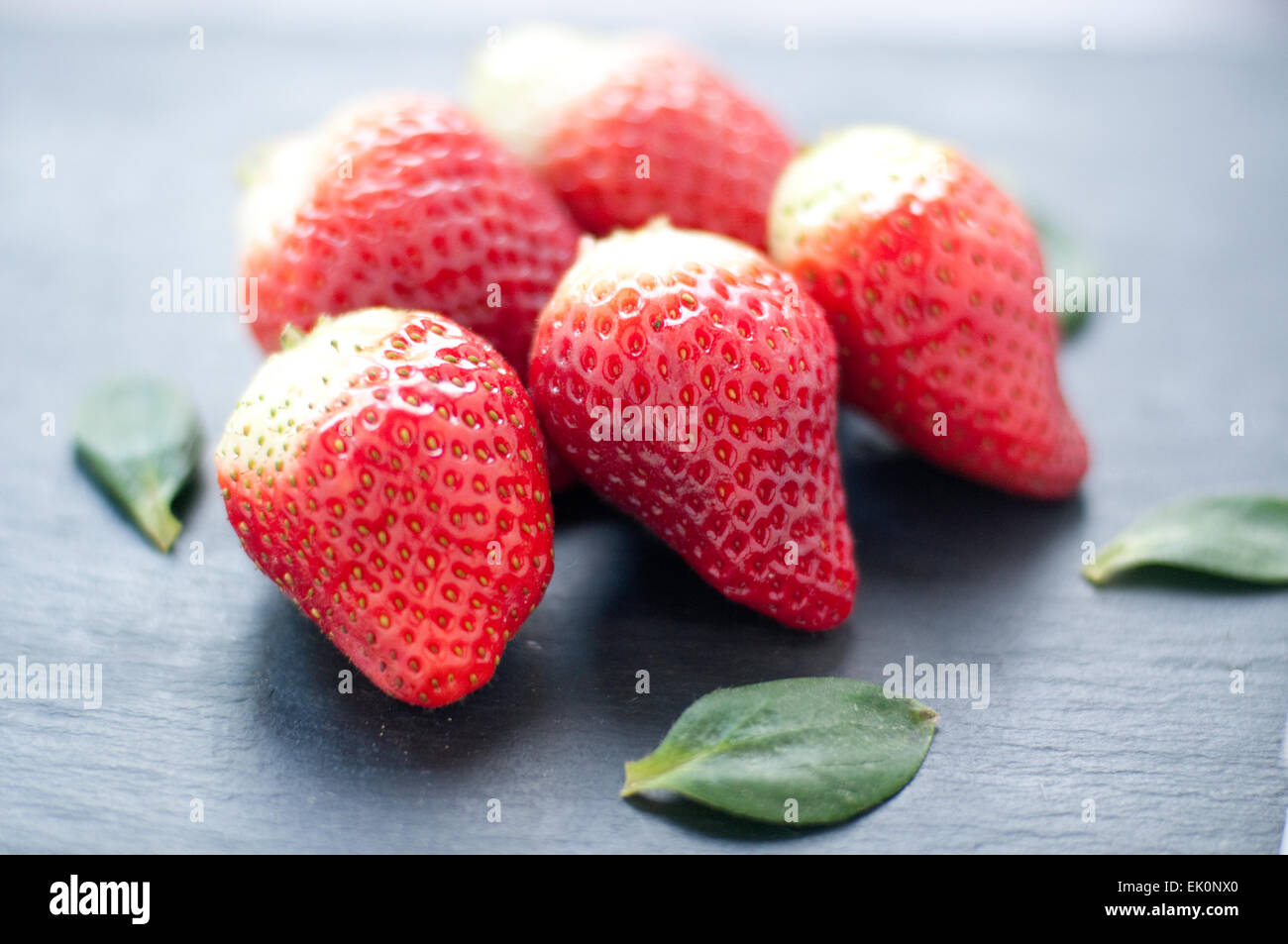Eine Gruppe von roten leckeren frischen Erdbeeren in der Saison Stockfoto