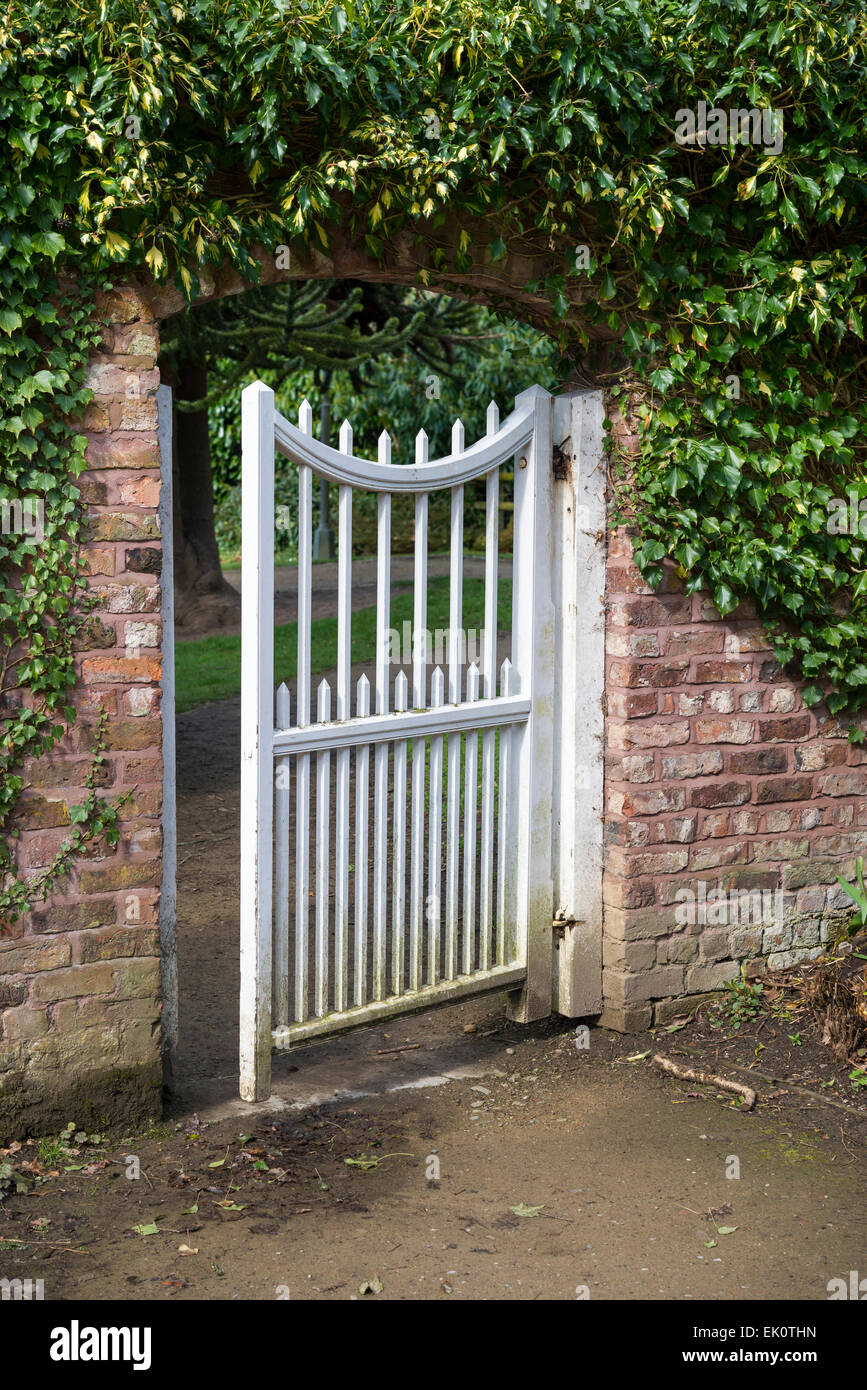 Ein offenes Tor zu Chadkirk Garten in der Nähe von Romilley Stockport. Ein weißes Holz Tor in einer Mauer mit Efeu über die Spitze. Stockfoto