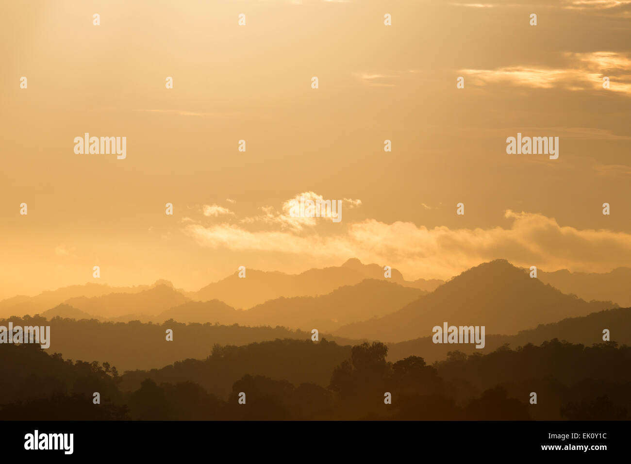 Khao Yai Nationalpark, Dong Phayayen-Khao Yai Forest Complex, Ost-Thailand Stockfoto