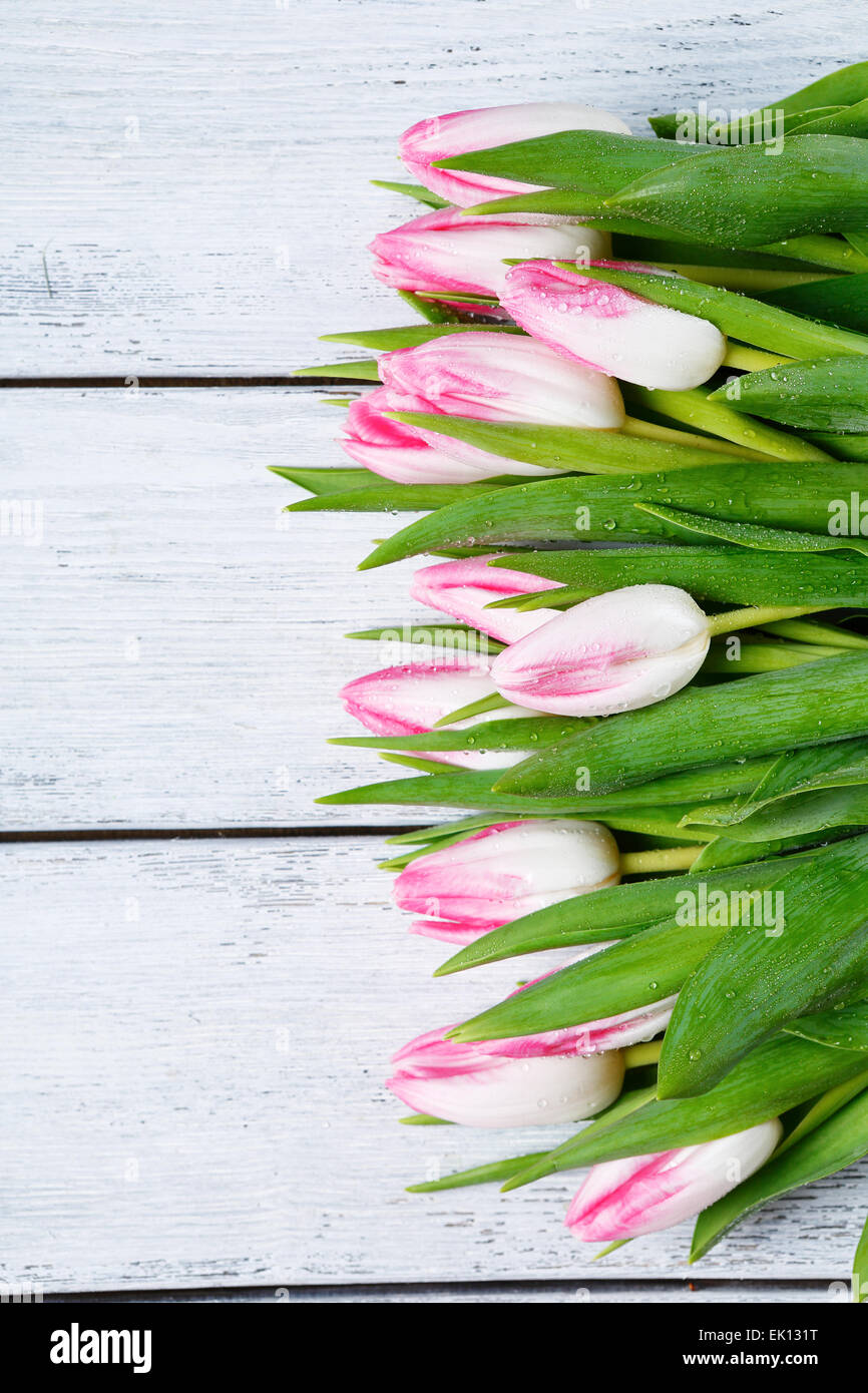 frische rosa Tulpen auf Brettern, Blumen Stockfoto