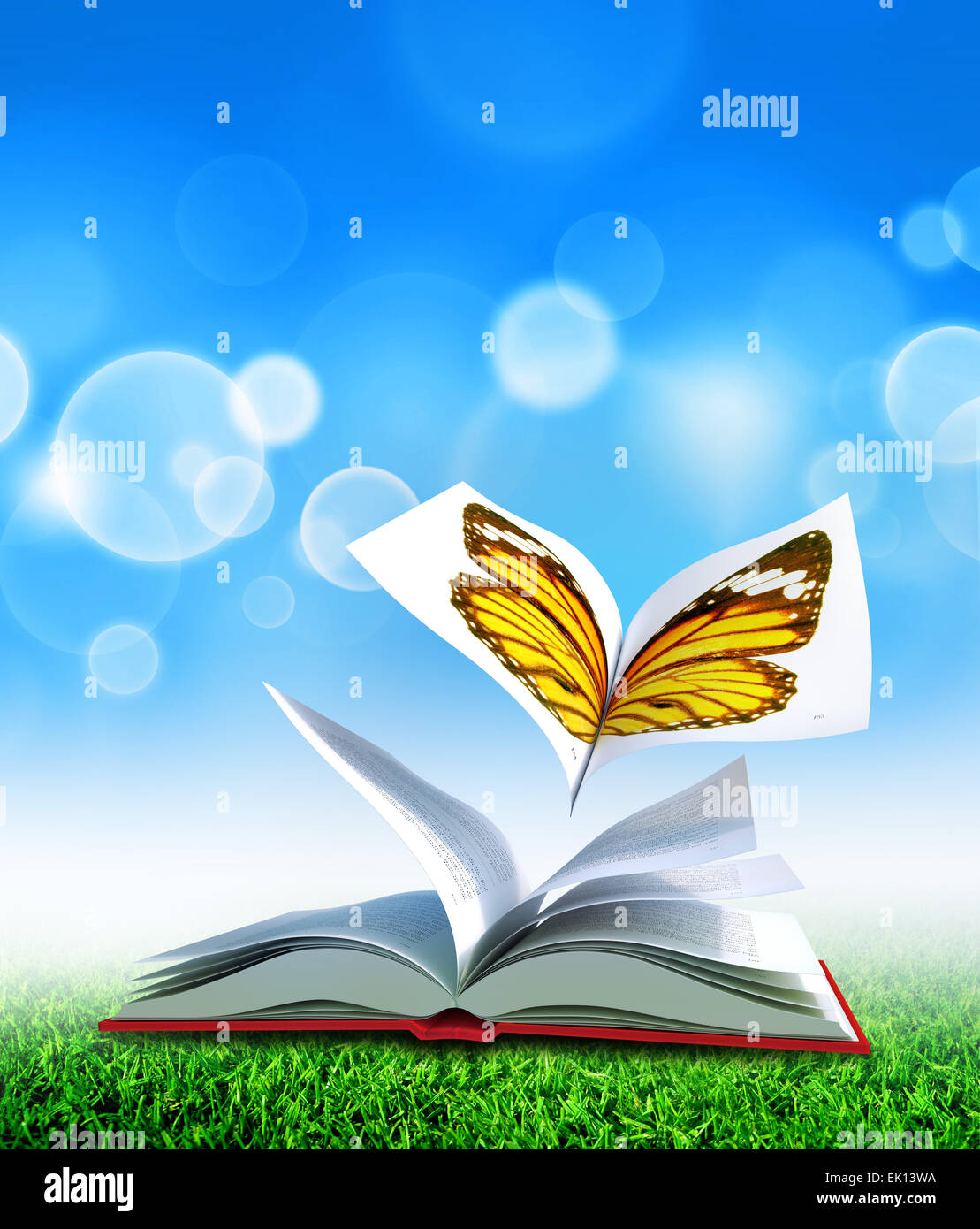 Roten gebundenes Buch offen in der Mitte, wie die Flügel eines Schmetterlings Stockfoto