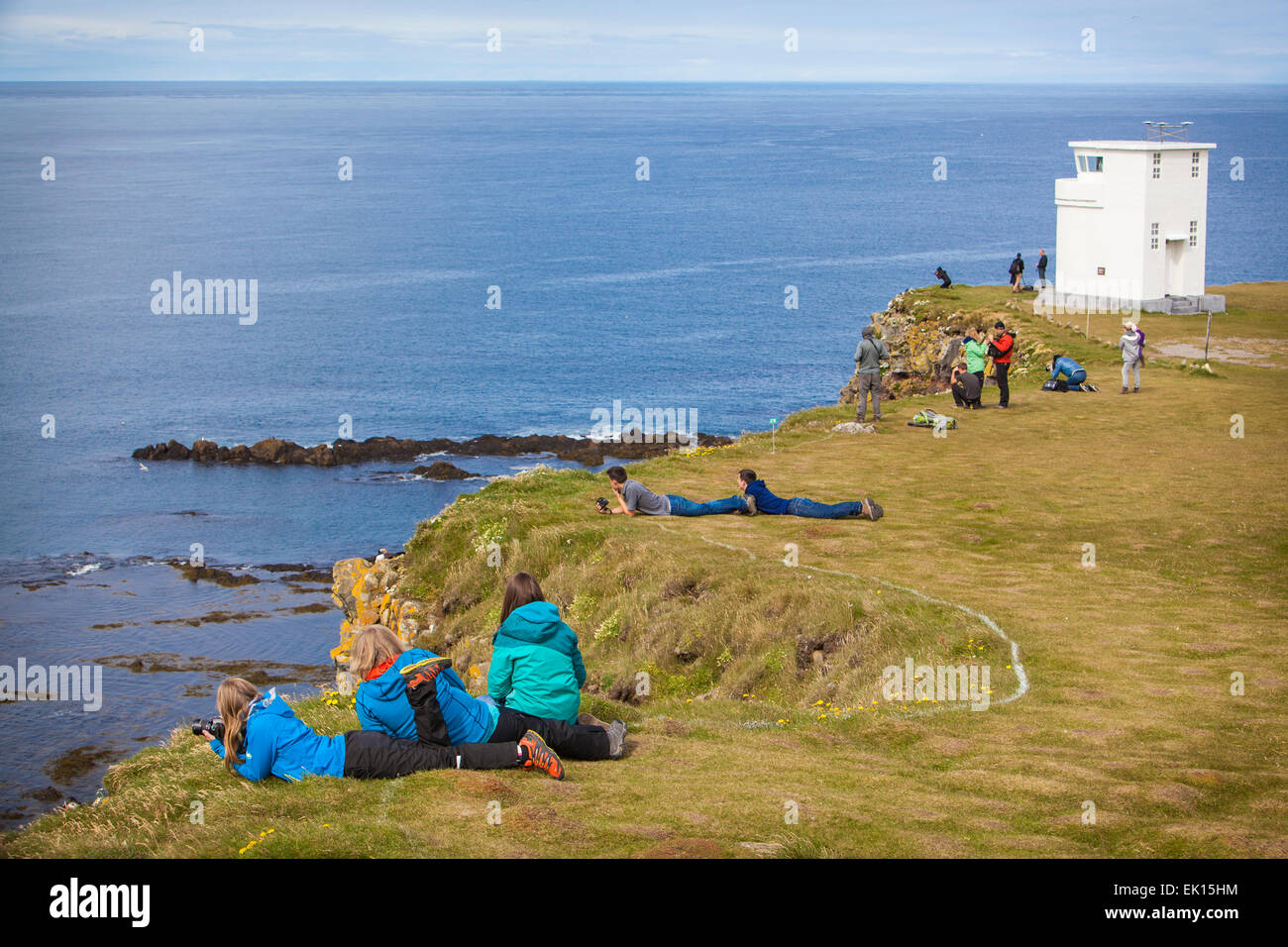 Menschen auf den Latrabjarg Klippen in der Westfjorde Islands Puffin Vögel zu betrachten. Stockfoto