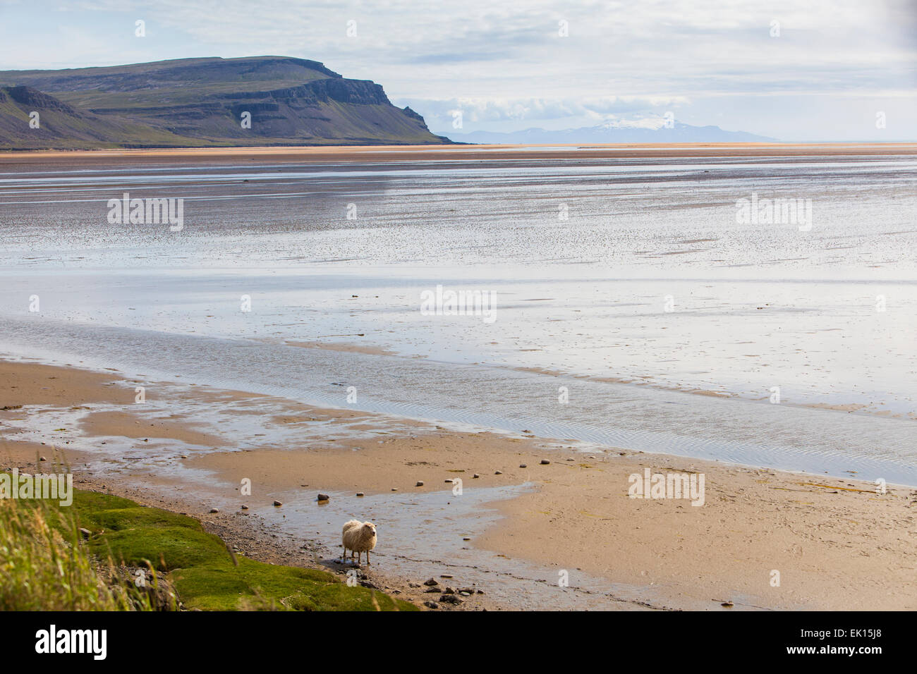 Ansicht des Raudisandur in den Westfjorden Islands. Stockfoto