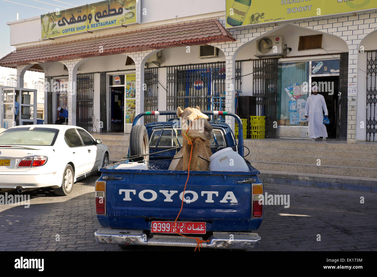Kamel im Pickup-Truck vor Geschäften, Sinaw, Oman Stockfoto