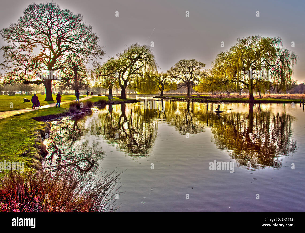 Bushy Park Teich Stockfoto