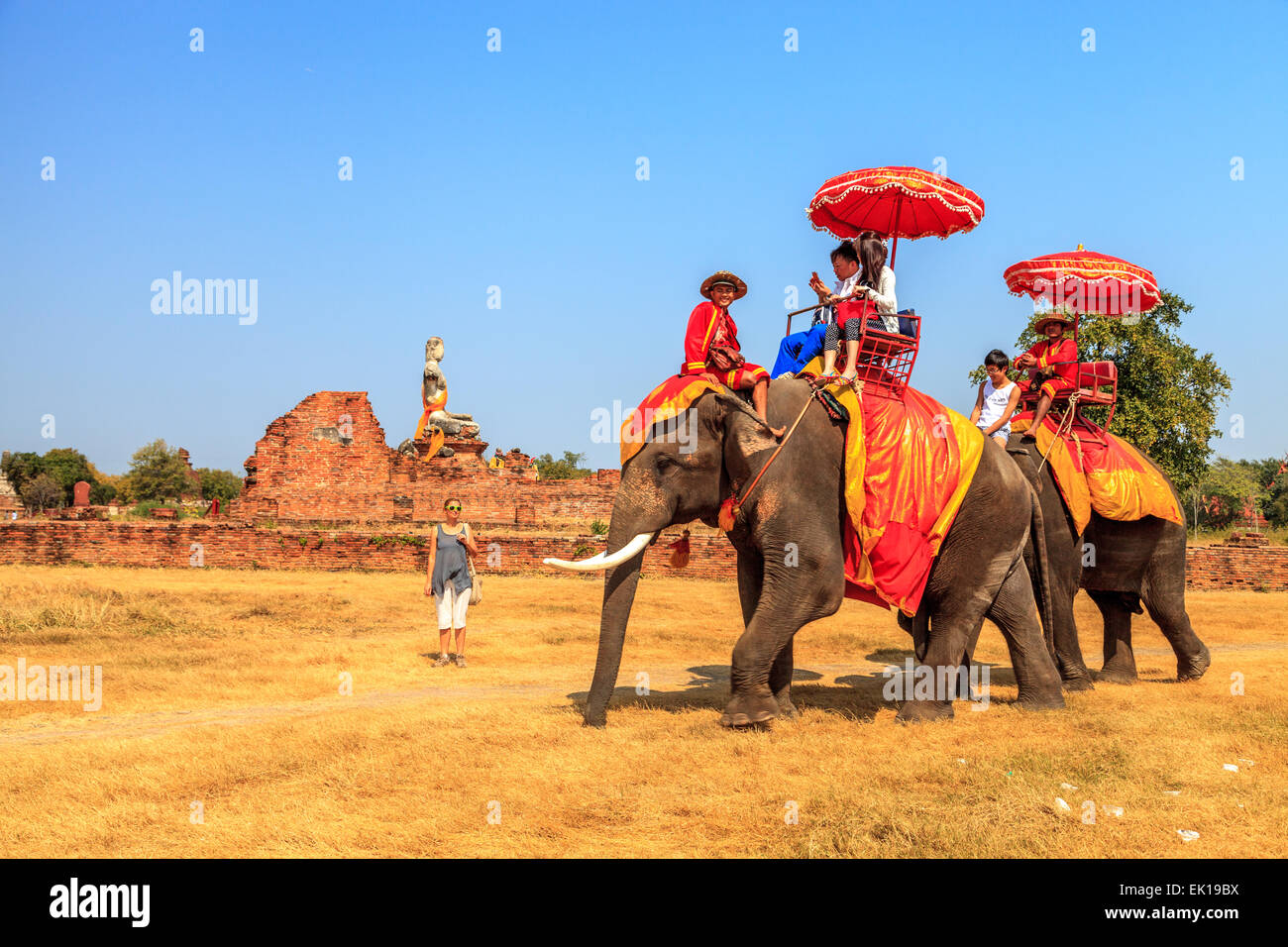 Touristen auf Elefanten Reiten in Ayutthaya, Thailand Stockfoto