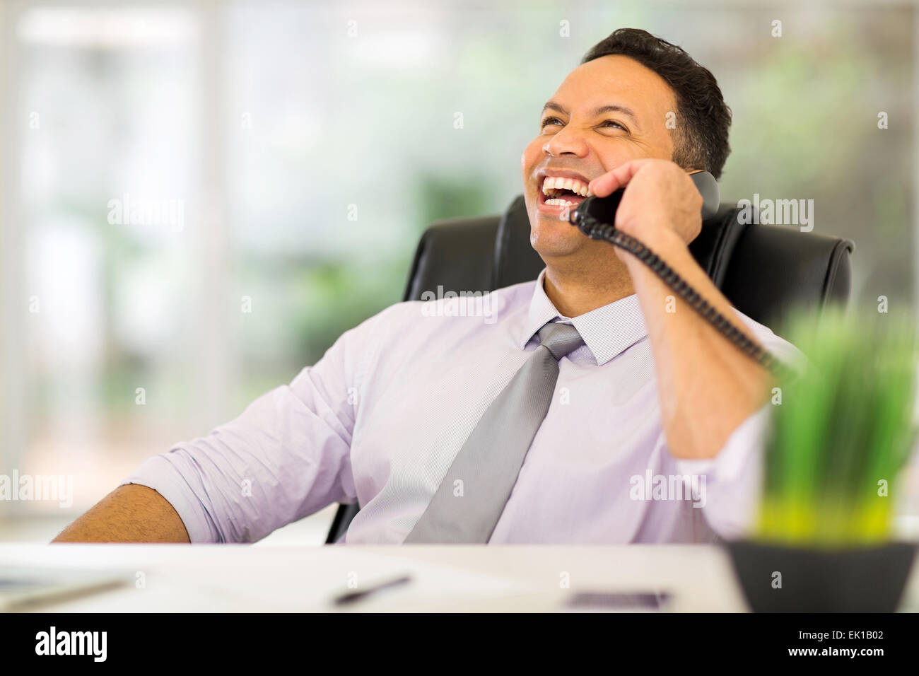 fröhliche mittleren Alter Geschäftsmann mit Festnetz-Telefon Stockfoto