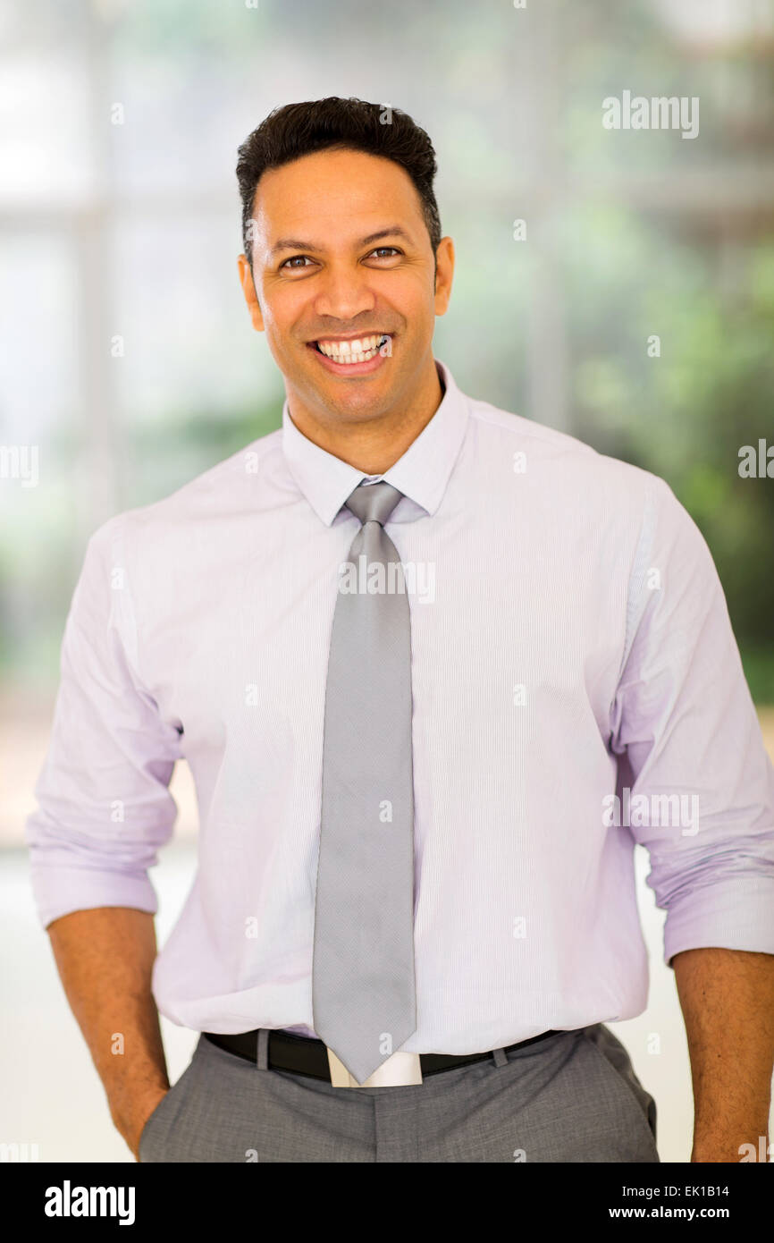 fröhliche reifer Geschäftsmann in die Kamera schaut Stockfoto