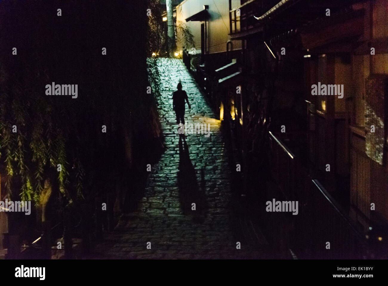 Menschen zu Fuß auf traditionelle Straße in der Nacht, Gujo Hachiman, Gifu Präfektur, Japan Stockfoto