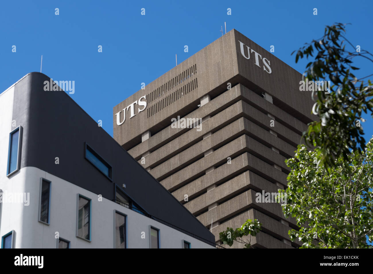 UTS-Turm. "Hässlichsten Gebäude in Sydney." University of Technology, Sydney. Stockfoto