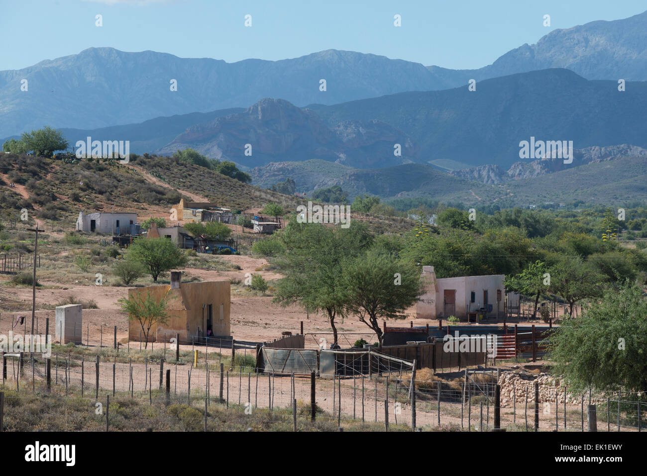Häuser der Landarbeiter auf eine kommerzielle Straussenfarm, Oudtshoorn, Western Cape, Südafrika Stockfoto