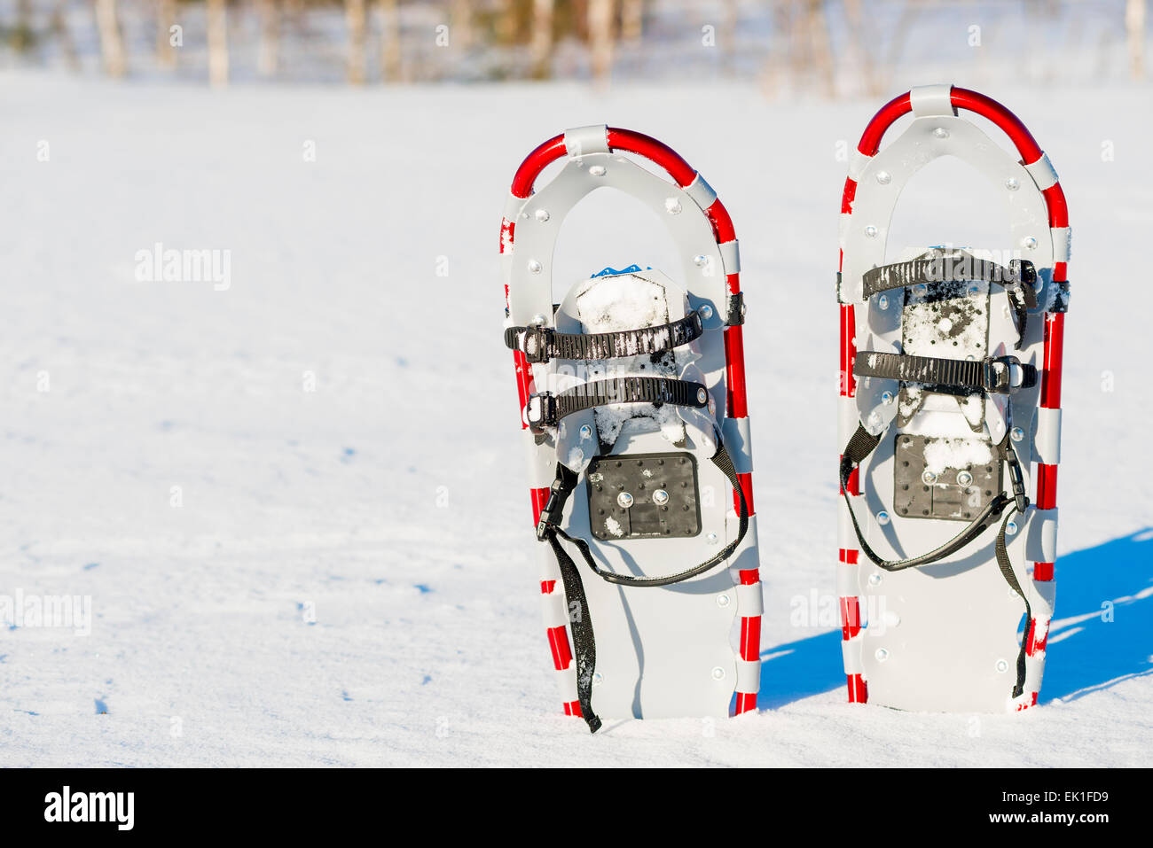 Schneeschuhe stehen aufrecht im Schnee Stockfoto