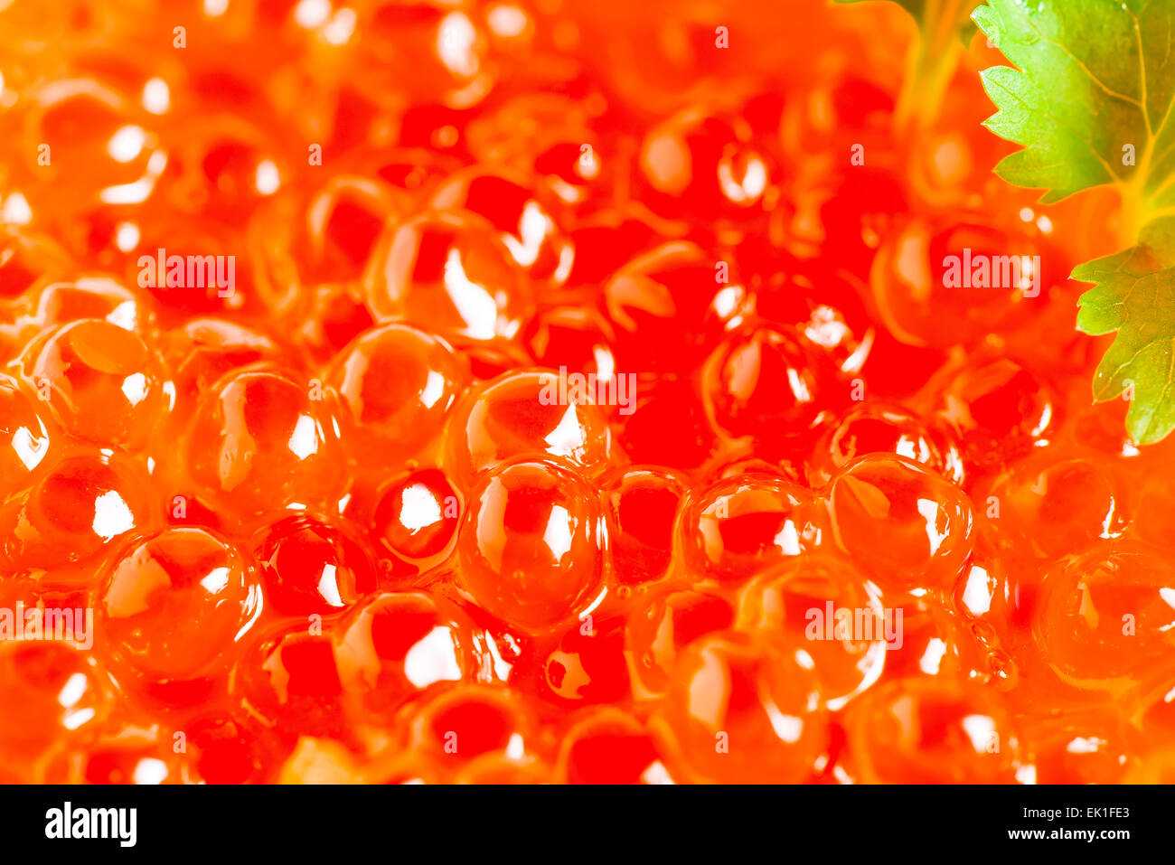 Korn-rote sibirische Lachs Kaviar close-up Stockfoto