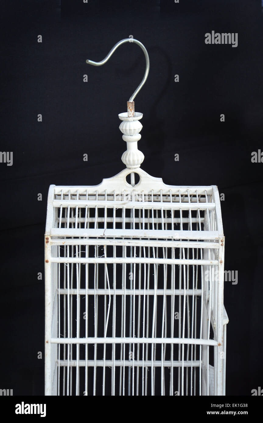 weiße leere Birg Käfig auf schwarzem Hintergrund Stockfoto