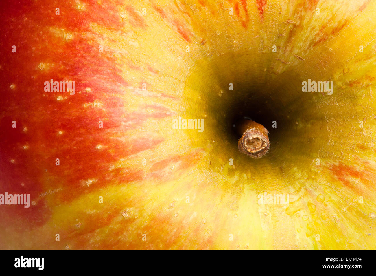 Apfel-Makro-Nahaufnahme Stockfoto