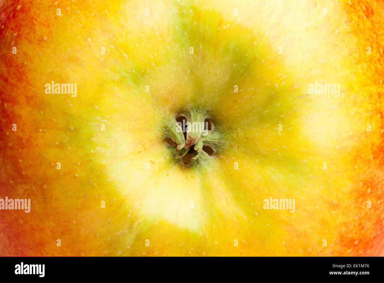 Apfel-Makro-Nahaufnahme Stockfoto