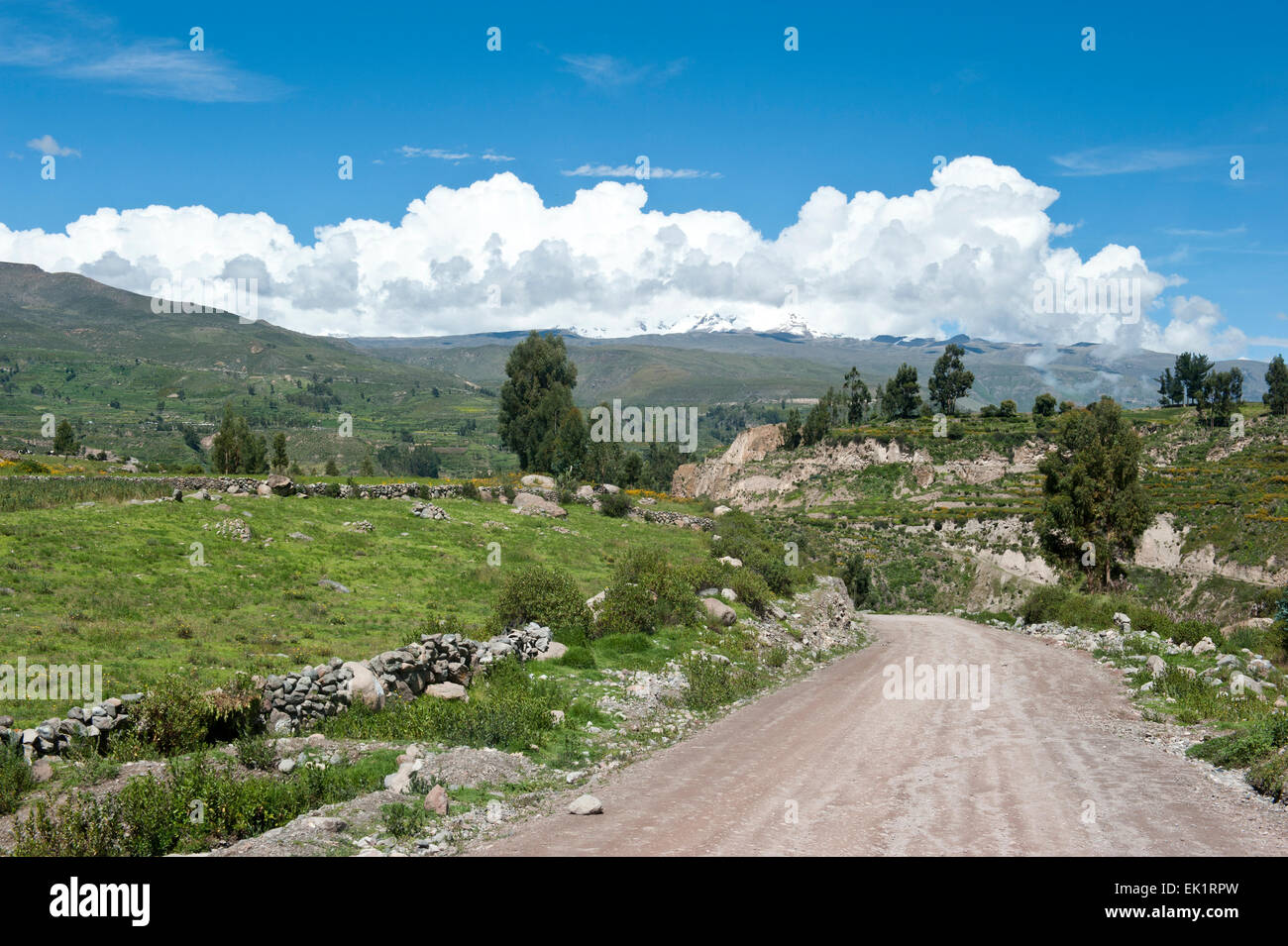 Peruanische Fahrbahn Stockfoto