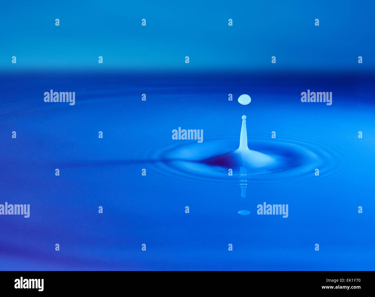 Tropfen Wasser auf der Oberfläche der milchig weiße Flüssigkeit Stockfoto