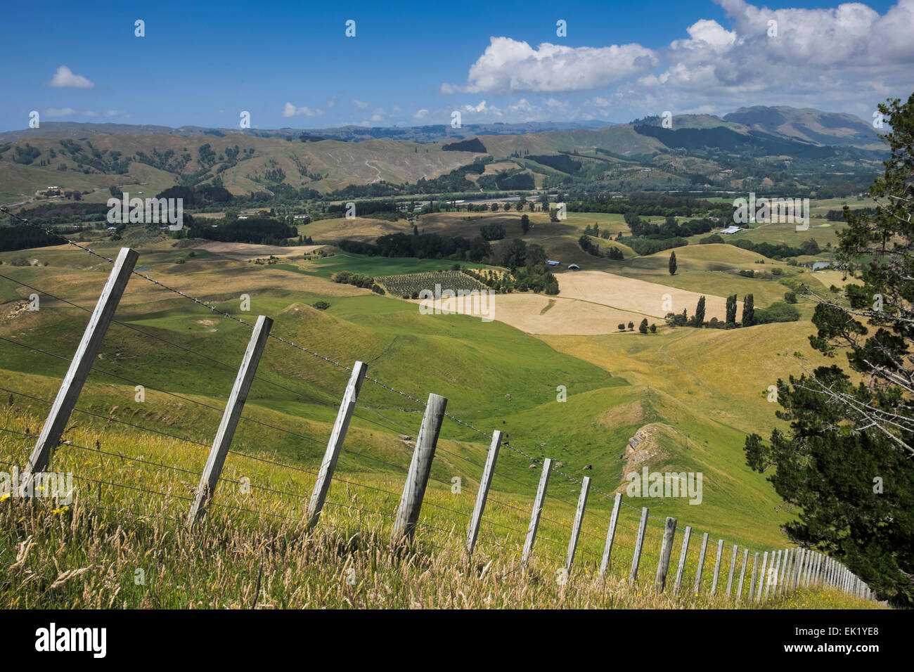 Stacheldraht Zaun Trennung Ackerland Weiden vom öffentlichen Zugang zu Te Mata, Neuseeland. Schwarz / weiß-Version EK1YE8 Stockfoto
