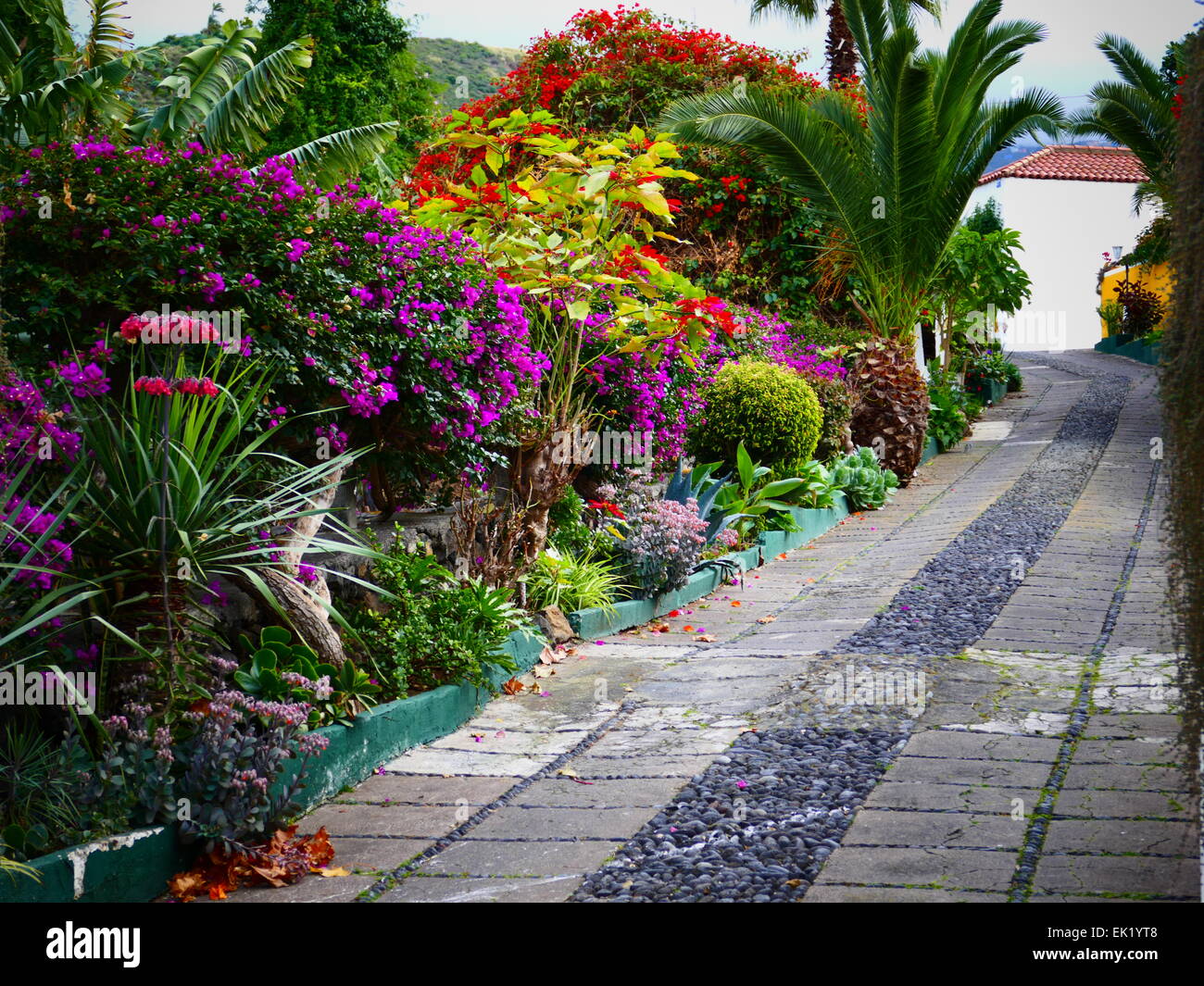 Spanien Kanaren Teneriffa Puerto De La Cruz ein Privatgarten Stockfoto