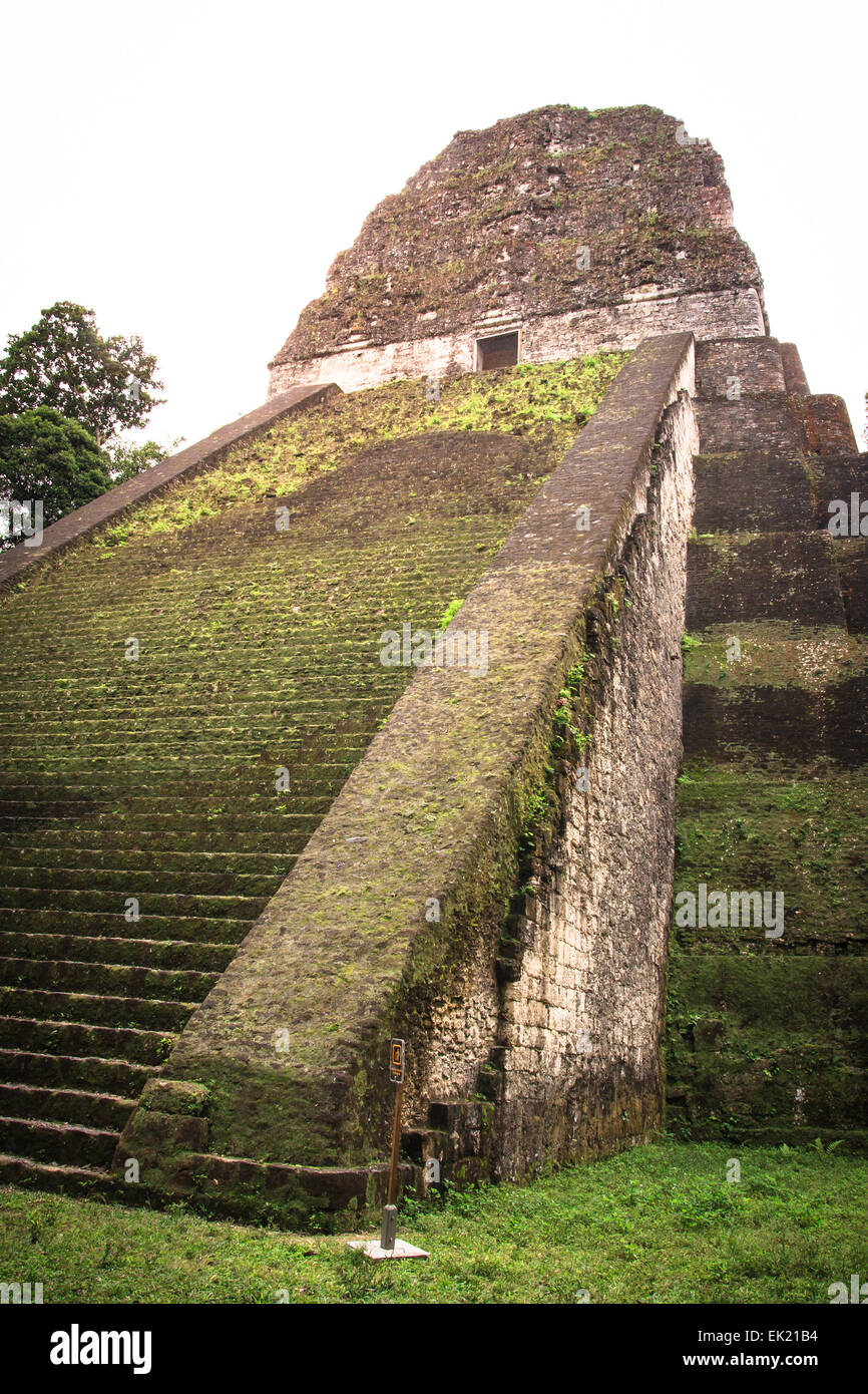 Tempel V, Tikal, Guatemala Stockfoto