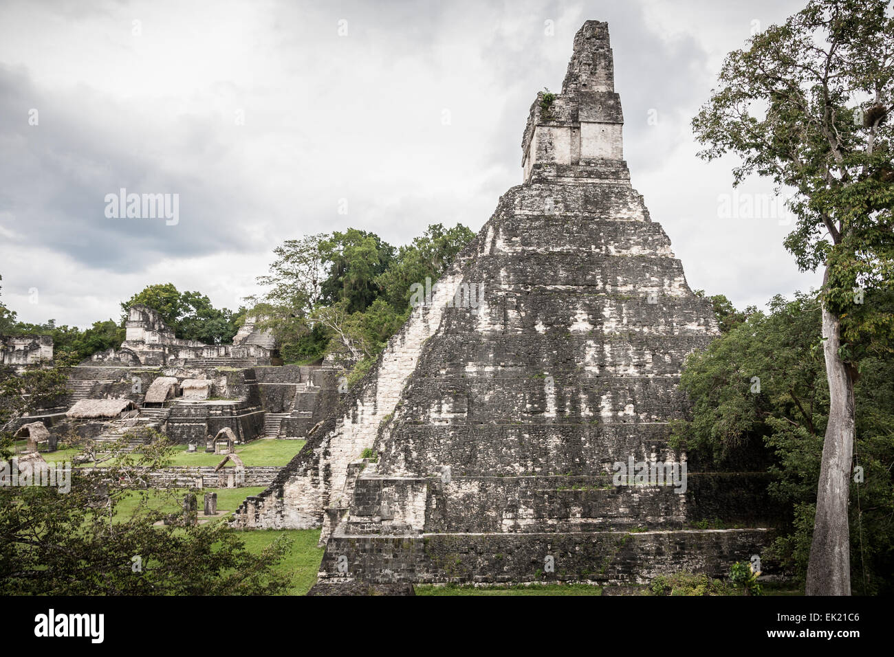 Jaguar-Tempel, Tikal, Guatemala Stockfoto
