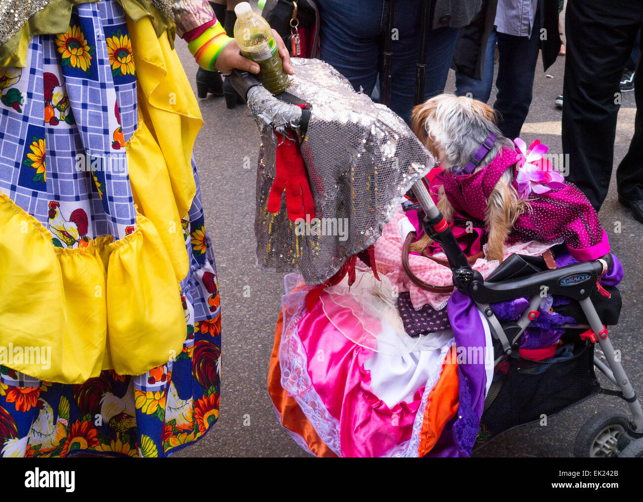 New York, USA. 5. April 2015. Ein Mann verkleidet mit einem kleinen Hund in einen Kinderwagen während der 2015 Easter Parade und Oster Bonnet Festival in New York City Credit: Donald Bowers/Alamy Live News Stockfoto