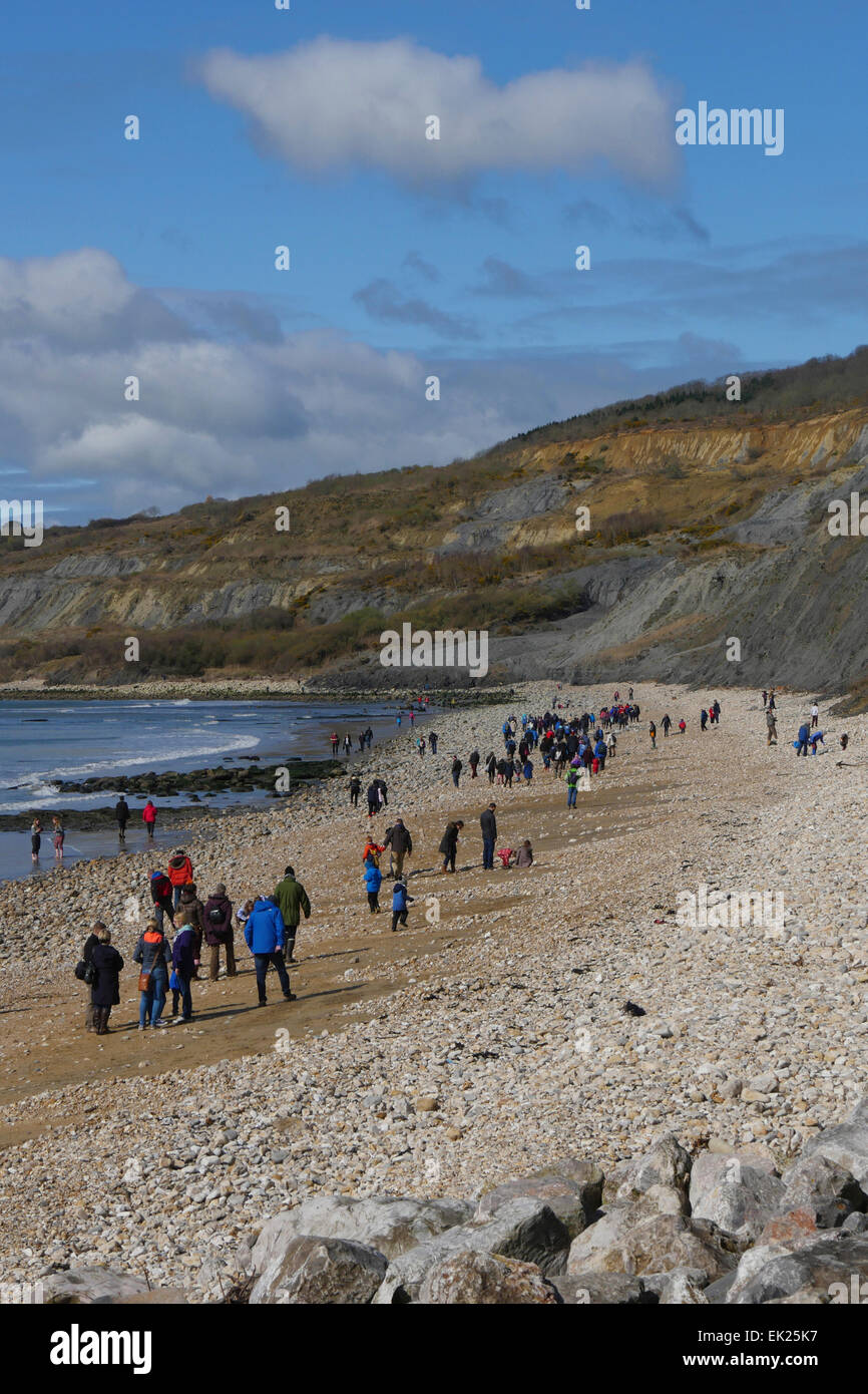Fossilen Jäger am Strand von Charmouth, Dorset, Großbritannien Stockfoto