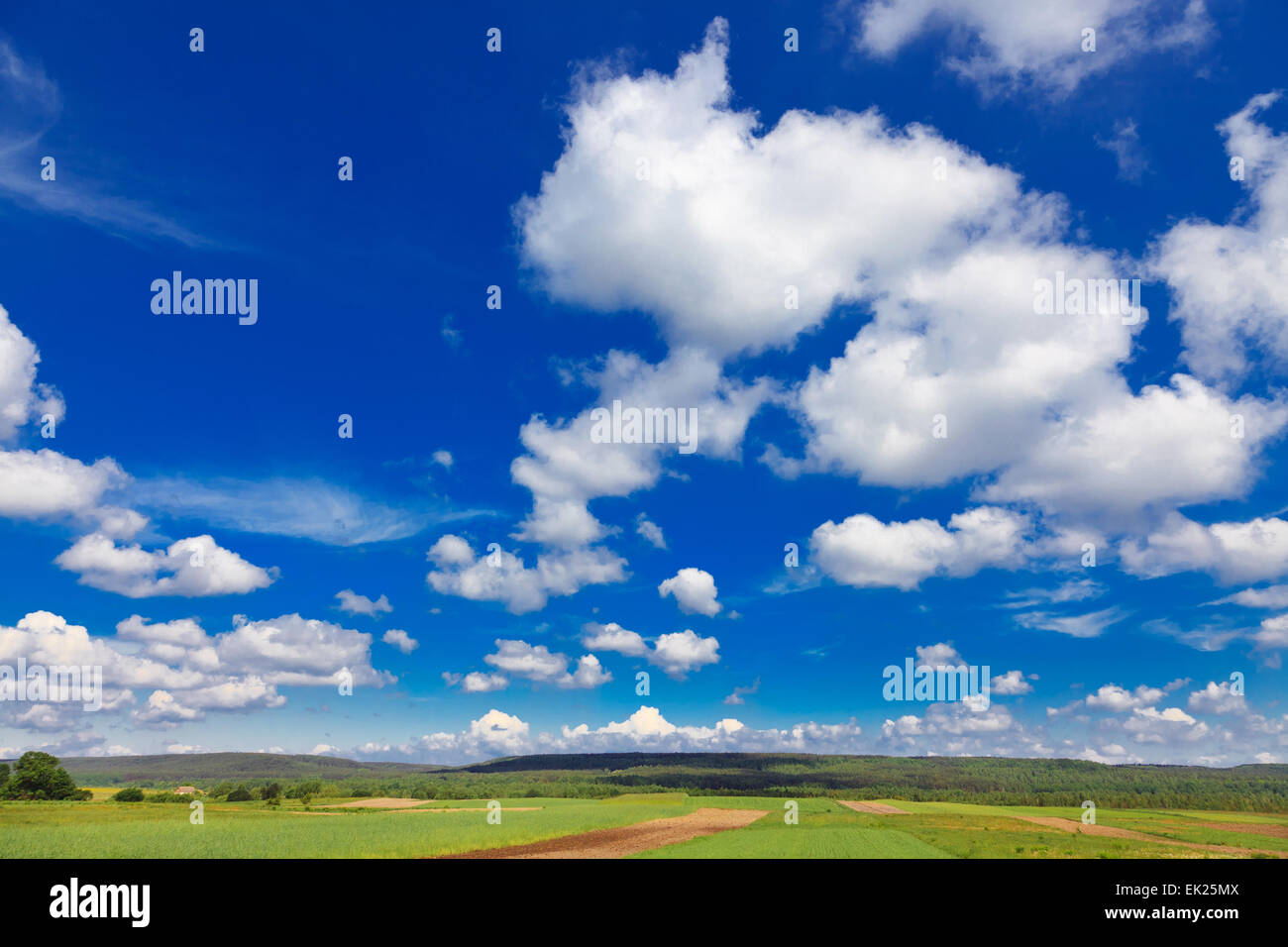 Landschaft mit blauem Himmel und Wolken Stockfoto