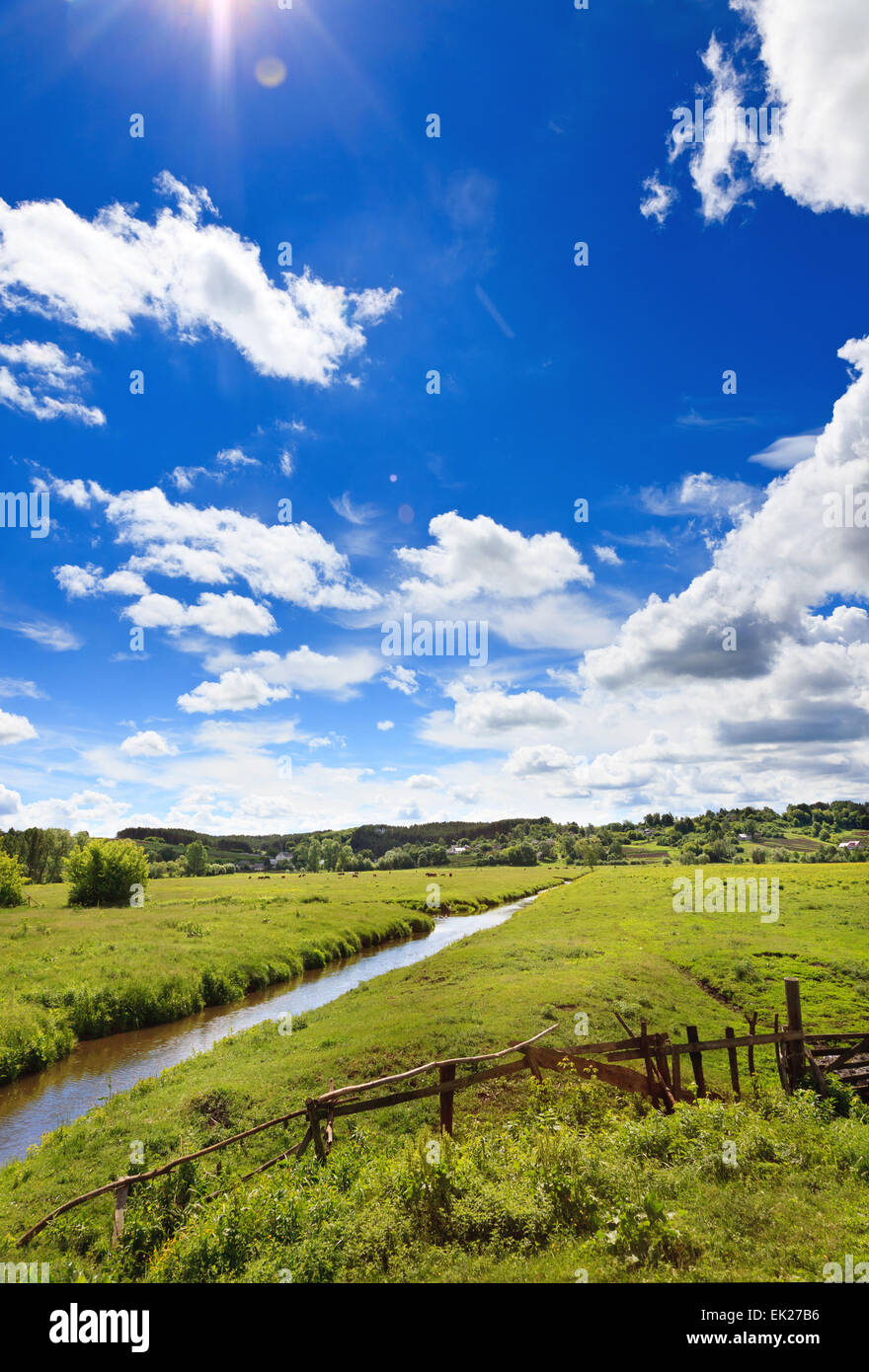 Sommerlandschaft Stockfoto