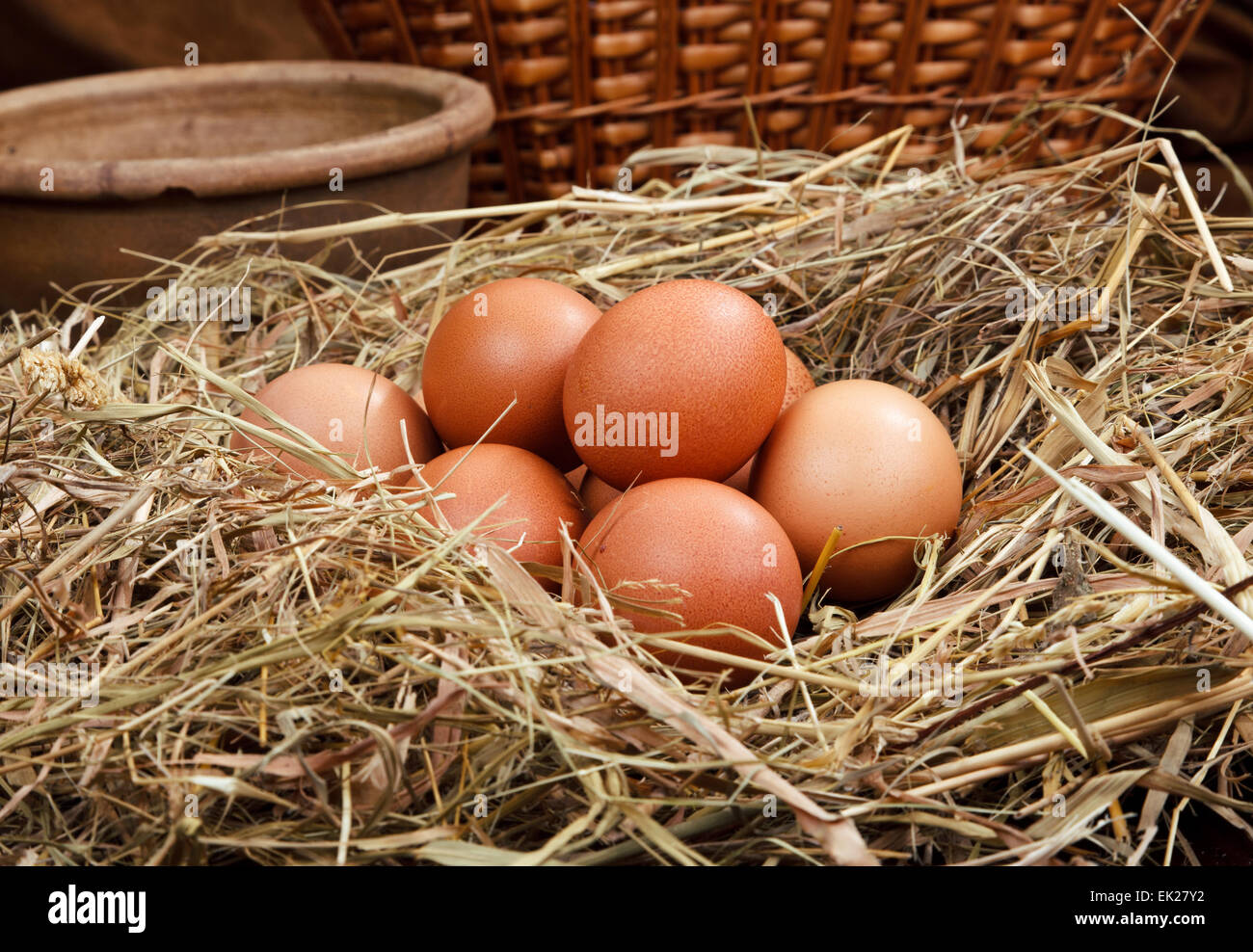 Nest-Eiern Stockfoto