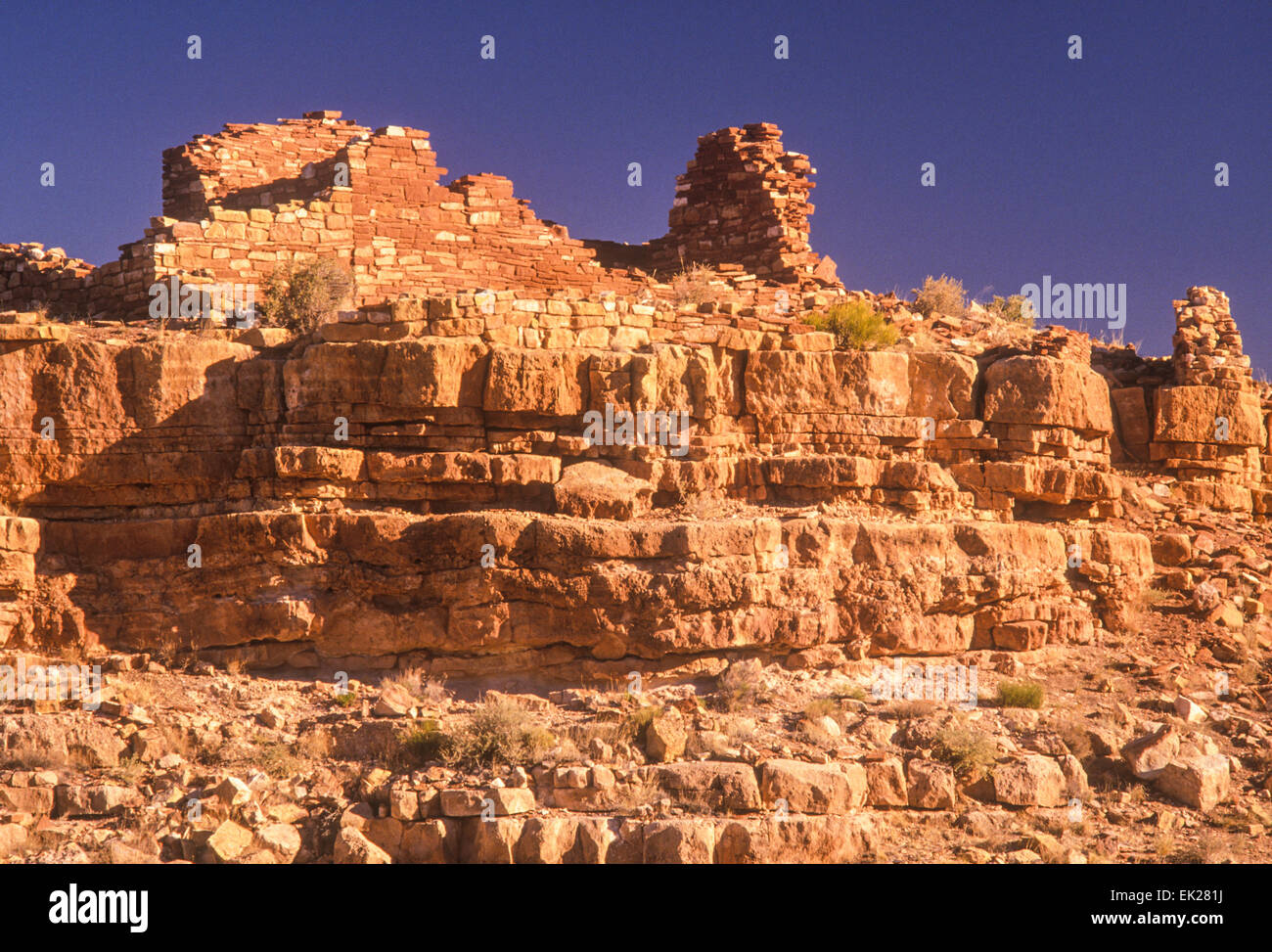 Box Canyon Ruinen, Anasazi Indianer, Wupatki National Monument, Arizona Stockfoto