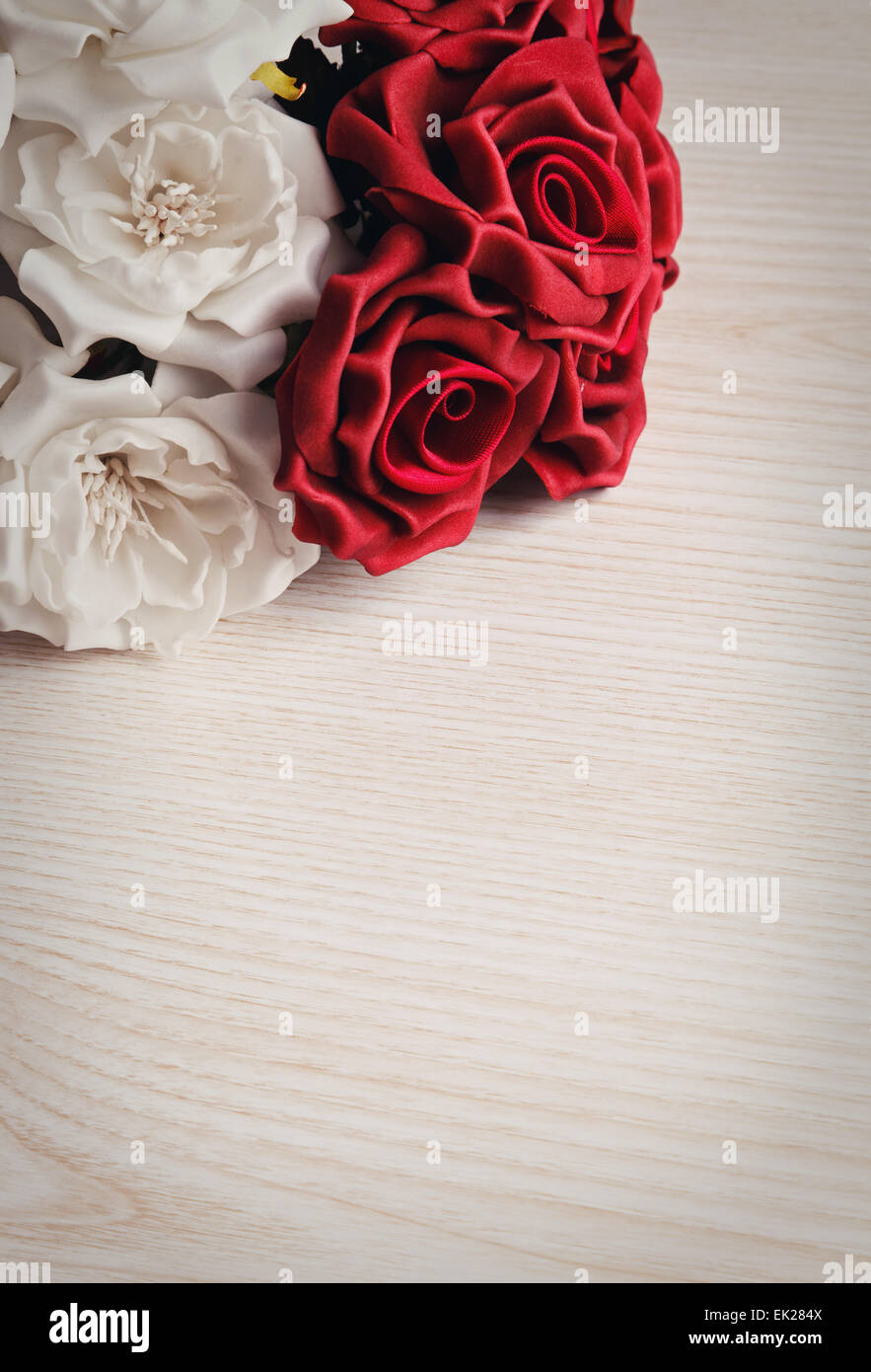 rote und weiße Rosen Stockfoto