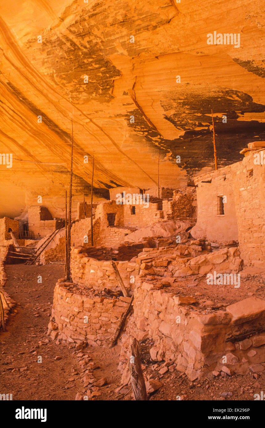 Keet Seel Ruinen, Anasazi Indianer, Navajo National Monument, Arizona Stockfoto