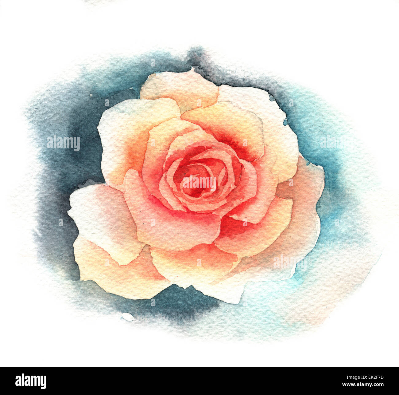 Aquarell rose Stockfoto