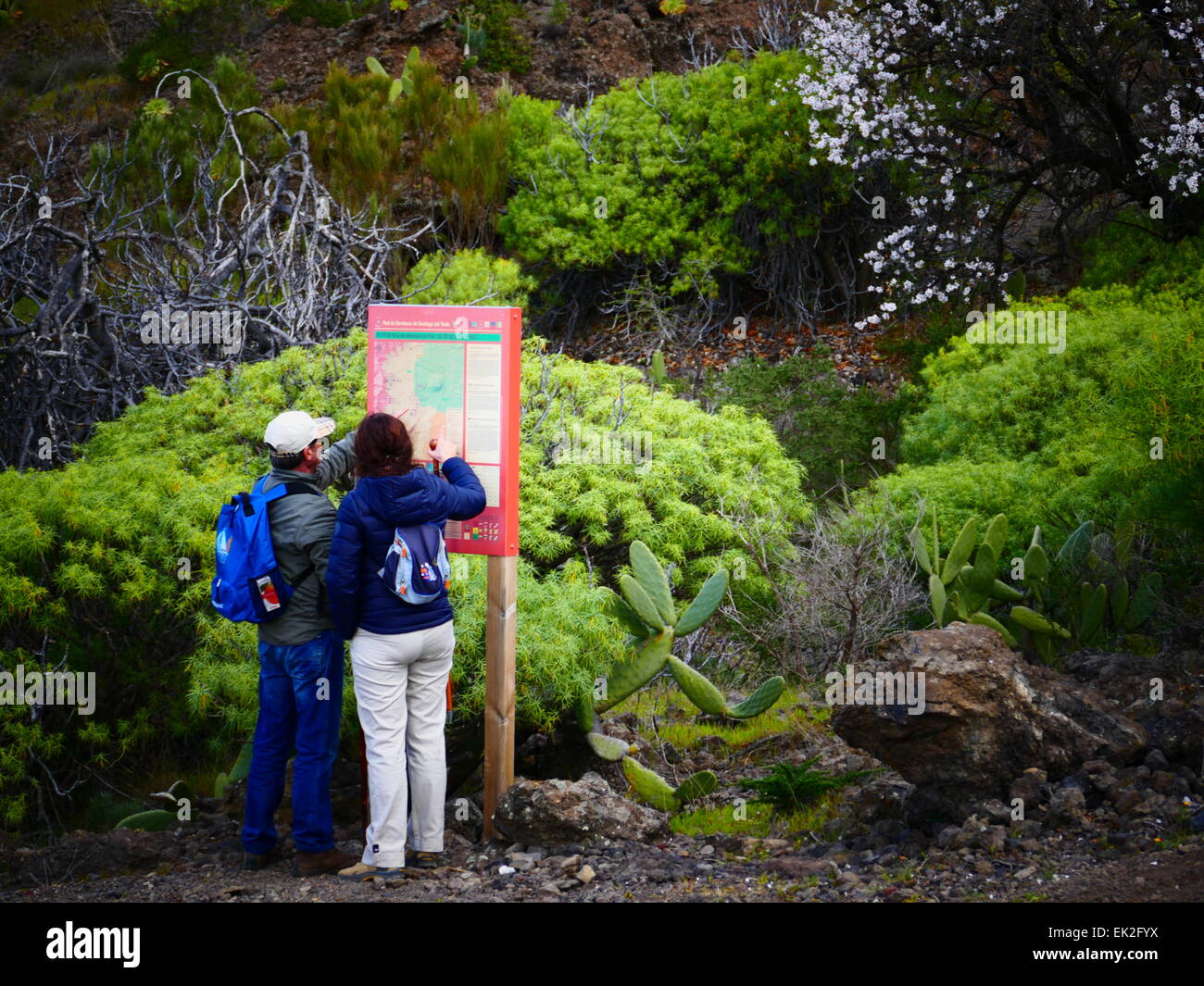 Touristen auf der Suche bei Trekking-Informationstafel im Norden von Teneriffa Insel Kanaren Spanien Stockfoto